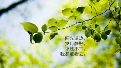 关于财富的英语名言_关于财富的英语名