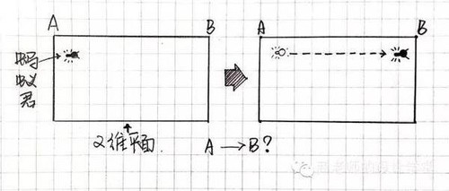 栏目用于追新
