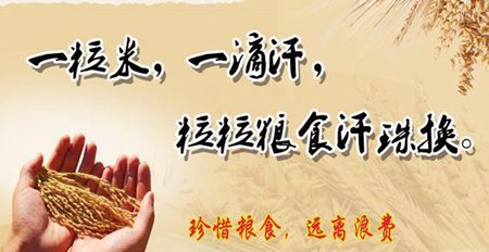 宣传节约粮食的名言警句