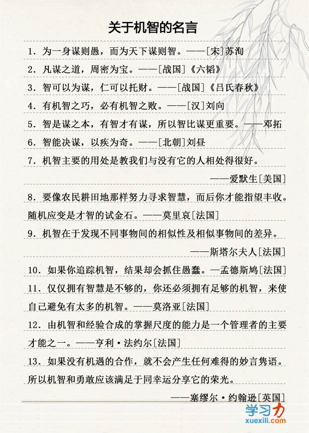 杨澜的一句话名言及感悟