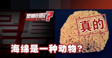 平台介绍| 5分彩app官方版手机版