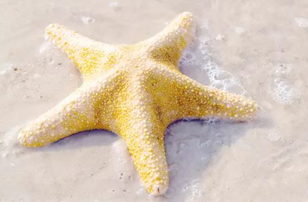 继续浏览