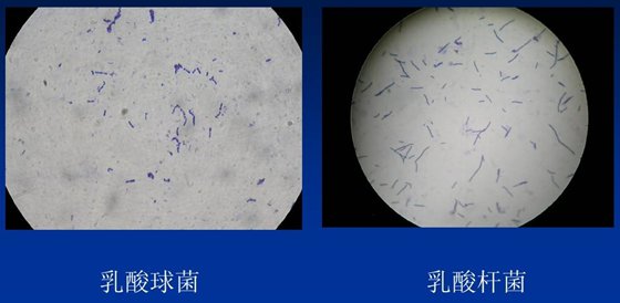 为5分彩app官方版新人权益说春雨贵