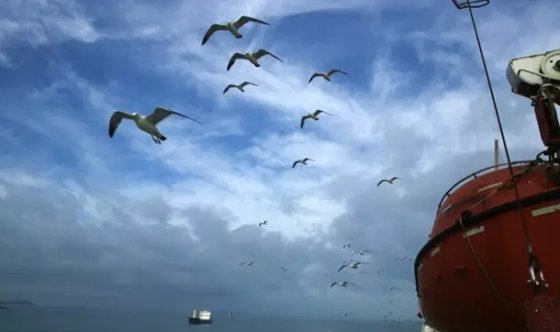 为5分钟彩官方下载安全访问深海鱼不浮
