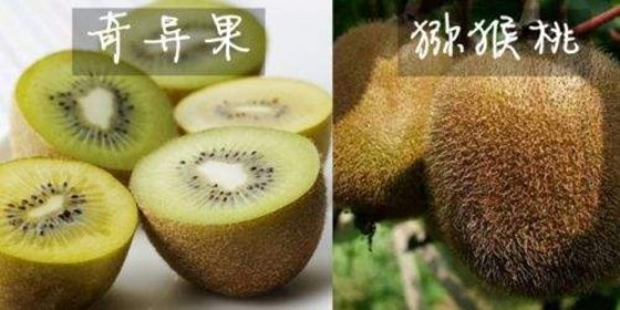 继续浏览
