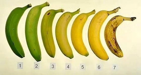 上一篇:人工种子能代替天然种子吗?