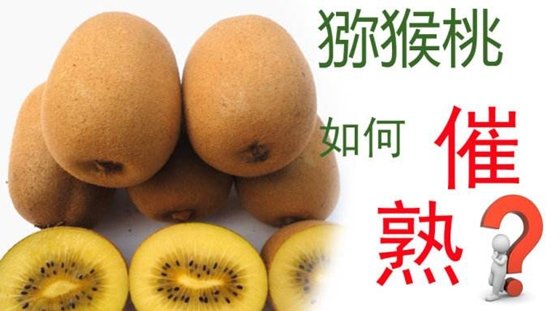 为5分钟彩官方下载app下载试管里能