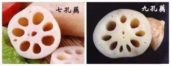 竹子开花吗
