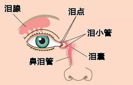 海螺里为5分钟彩官方下载新手怎么玩有