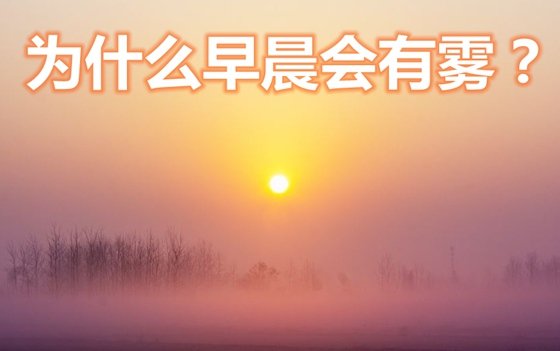 本命年为5分钟彩官方下载成为德甲联赛