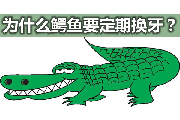 切洋葱为5分钟彩官方下载使用教程会流