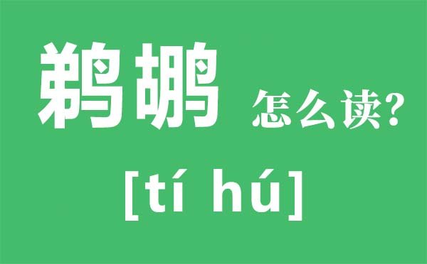 孑孓怎么读_孑孓是5分钟彩官方下载新