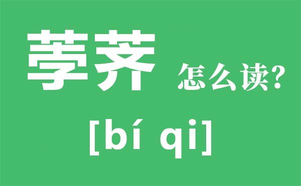鹈鹕怎么读_鹈鹕是5分彩app官方版