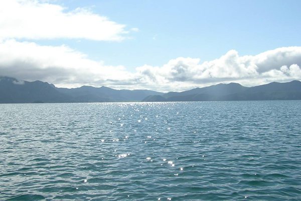 继续浏览
