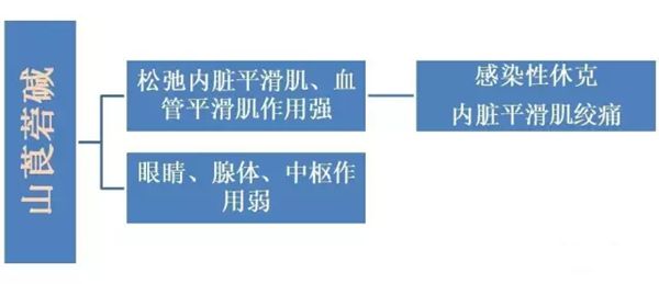 雎鸠怎么读拼音是5分彩app官方版手