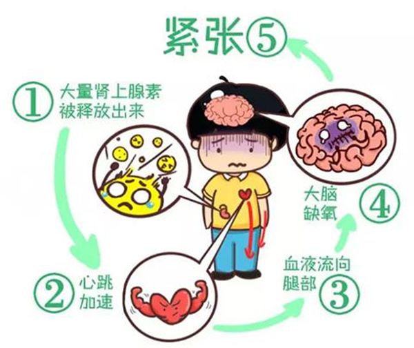 为5分钟彩官方下载最新版下载晕车的人
