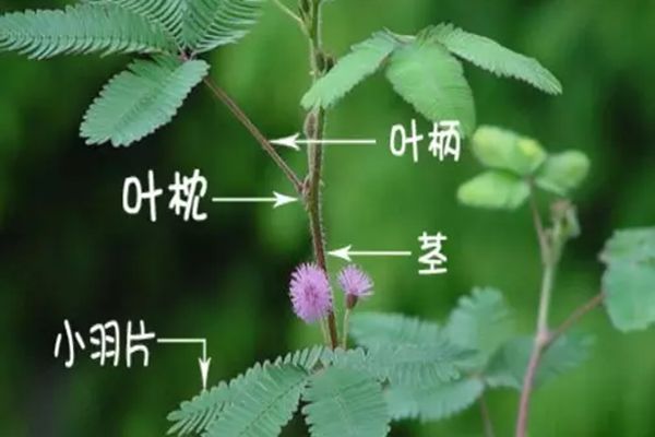 人为5分彩app官方版手机版登录会害