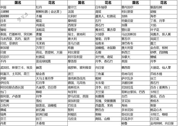 平台介绍| 5分钟彩官方下载新手怎么
