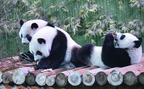 可结合站内栏目与相关篇目一并浏览