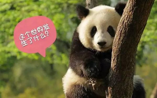 栏目用于追新