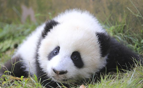 继续浏览