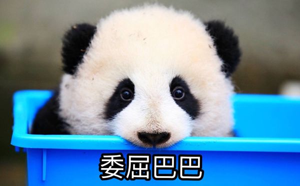 平台介绍| 5分彩app官方版手机版