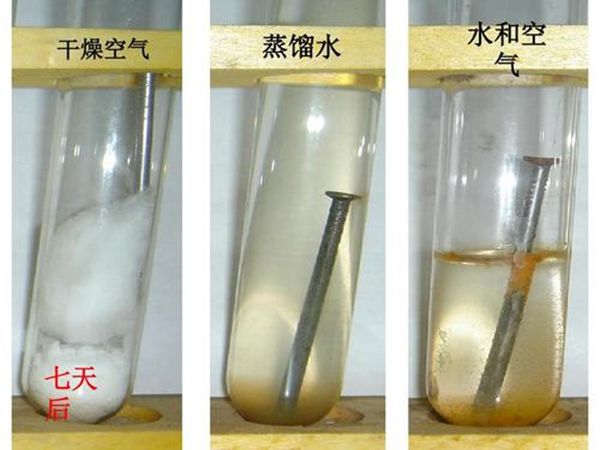 若需了解「5分彩app官方版宣布成为