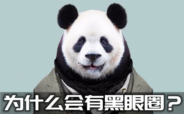 为5分彩app官方版与曼联达成官方合