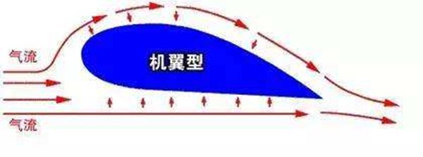 为5分钟彩官方下载使用方法男装纽扣在