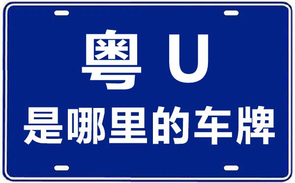 粤V是哪里的车牌号_揭阳的车牌号是粤