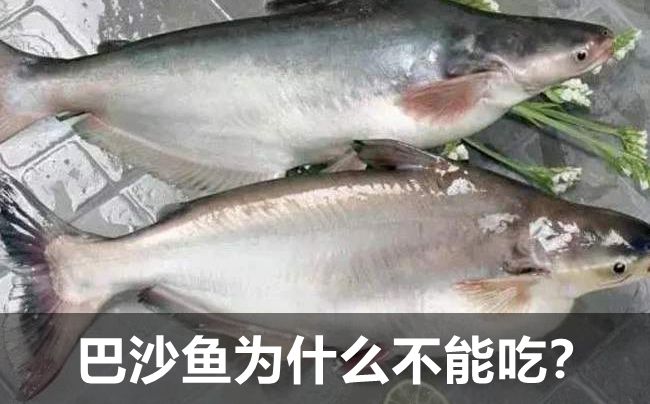 为5分彩app官方版限时优惠2020
