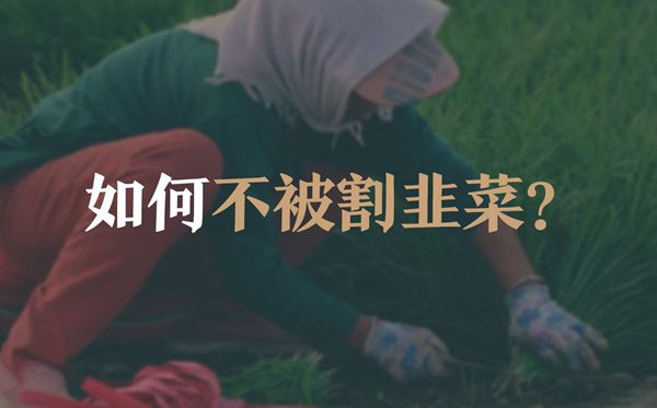 继续浏览