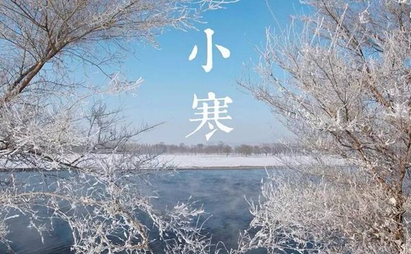 蚂蚁庄园古代当铺柜台前都有个大木板叫