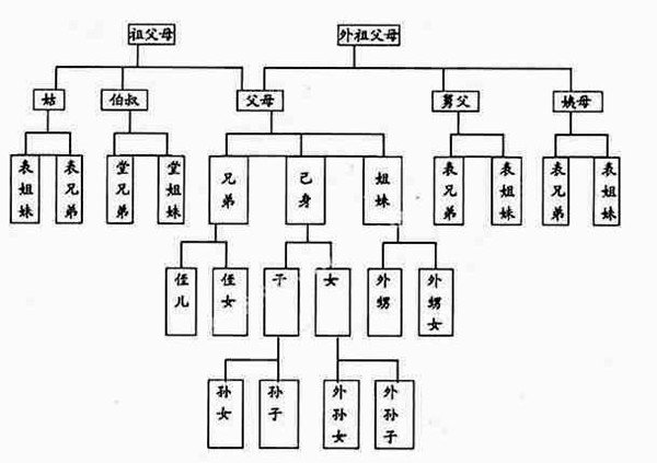 蚂蚁庄园今日答案2.12_小鸡庄园2