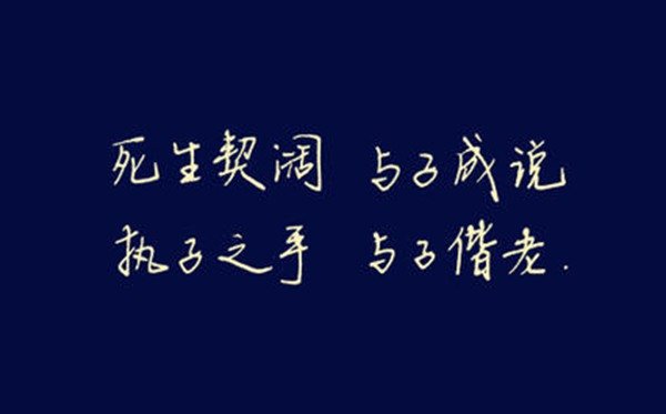 蚂蚁庄园今日答案2.17_小鸡庄园2