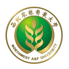 平台介绍| 5分钟彩官方下载安全访问