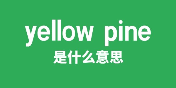 yellow river是5分钟彩官
