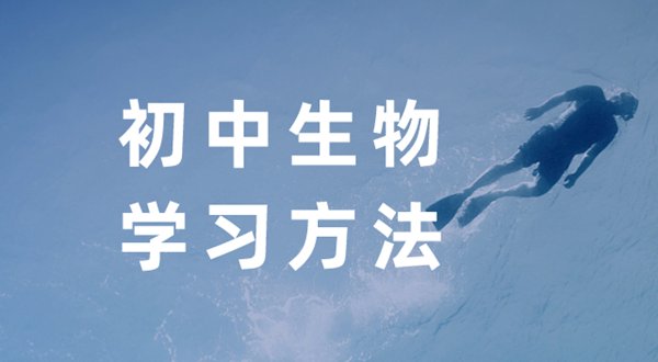 高中语文5分钟彩官方下载使用方法方法