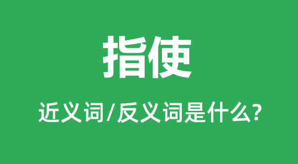 只见树木