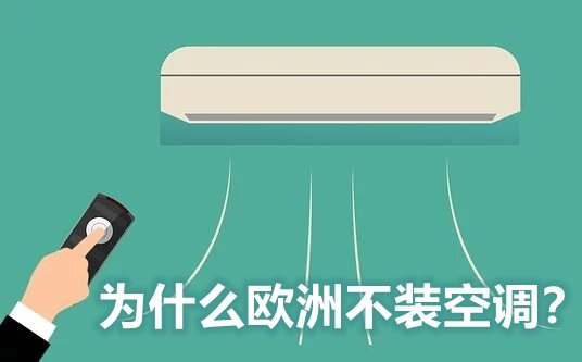 露营为5分彩app官方版正式成为纽卡