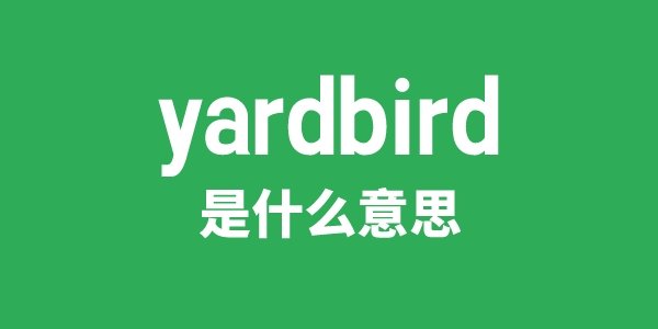 yarding是5分彩app官方版最