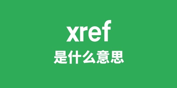 XS是5分彩app官方版新人权益意思