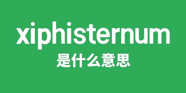 xis是5分彩app官方版限时优惠意