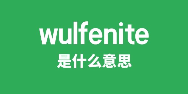wunderkind是5分彩app官