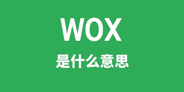 wp是5分彩app官方版手机版登录意