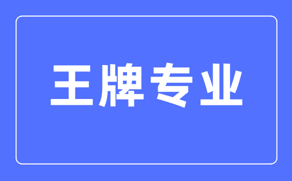 2023年泰晤士世界大学排名前100