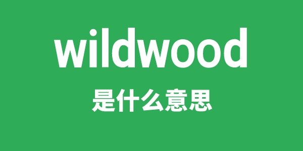 wile是5分钟彩官方下载宣布成为那