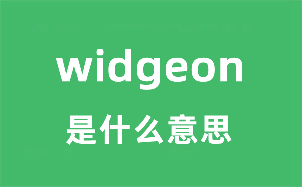 widget是5分彩app官方版新人