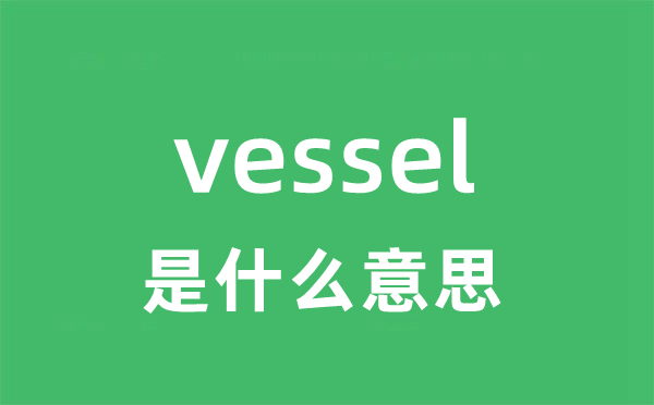vest是5分彩app官方版手机版登