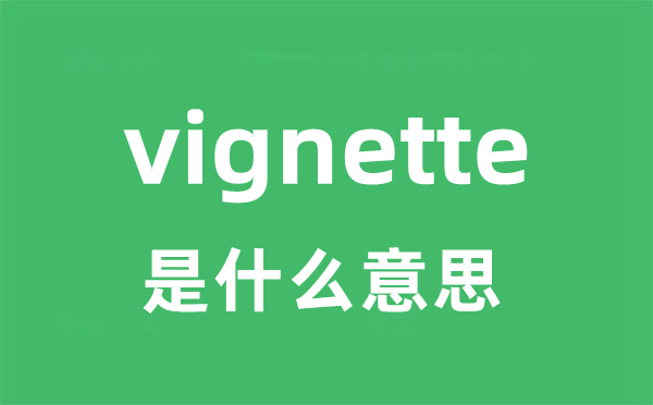 vigor是5分钟彩官方下载使用教程